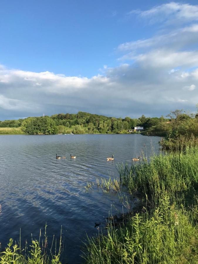 Vulkan-Nest In Der Eifel Ulmen Экстерьер фото